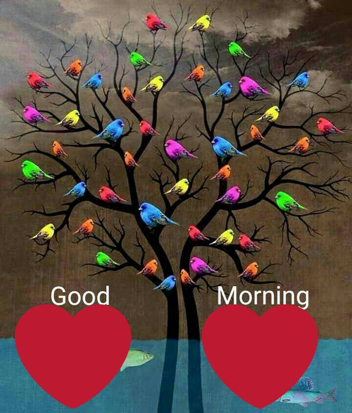 Good Morning Images Tree