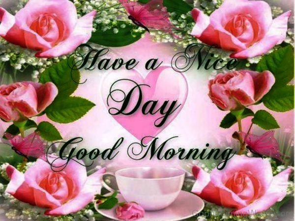 Beautiful rose with good morning message