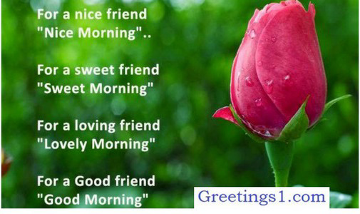 Good Morning Quotes | Good Morning Message | Greetings1