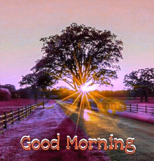 Free Good Morning Images | Beautiful Good Morning Images Free Good Morning Images | Beautiful Good Morning Images