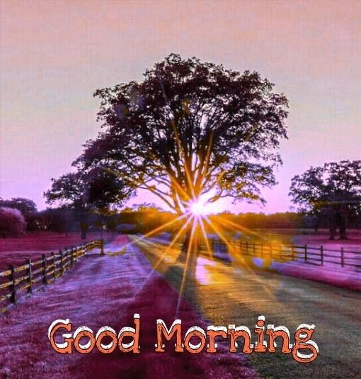 beautiful good morning wallpaper 156