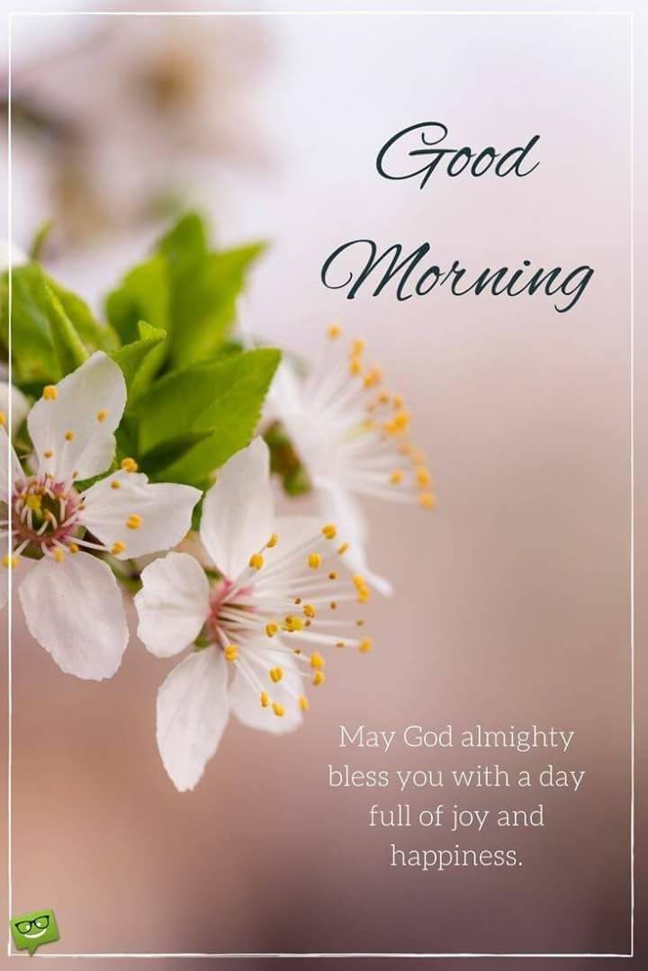Free Good Morning Quotes Free Good Morning Quotes Images - Greetings1.Com