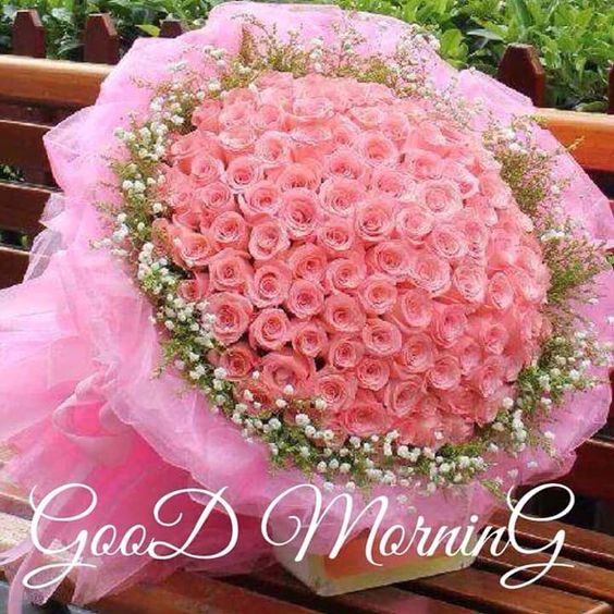 good morning beautiful images with flowers photos