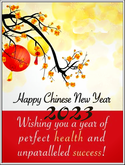 wishing you a happy chinese new year