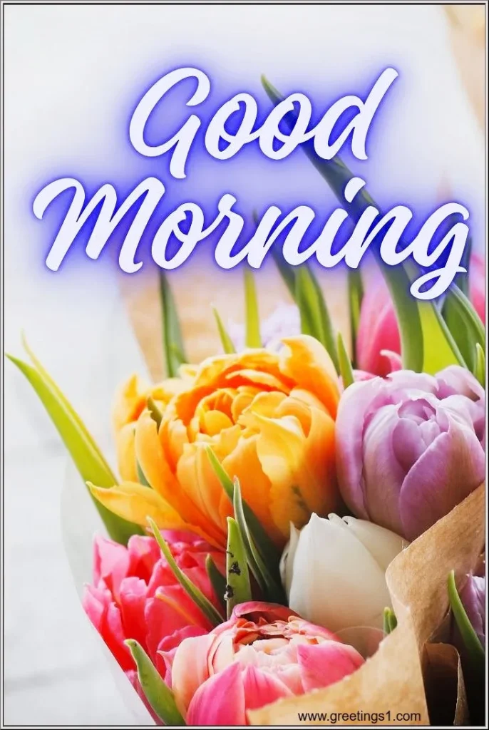 Today Special Good Morning flowers image for wish