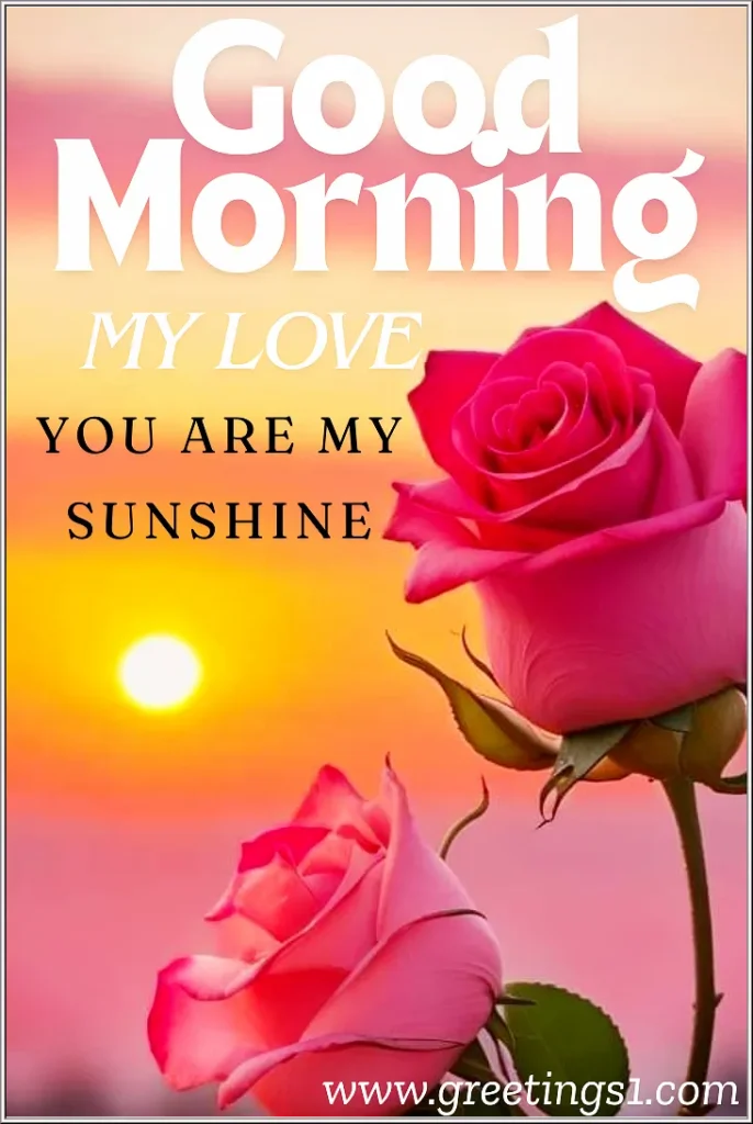 free download good morning sunrise with pink roses images messages for my love