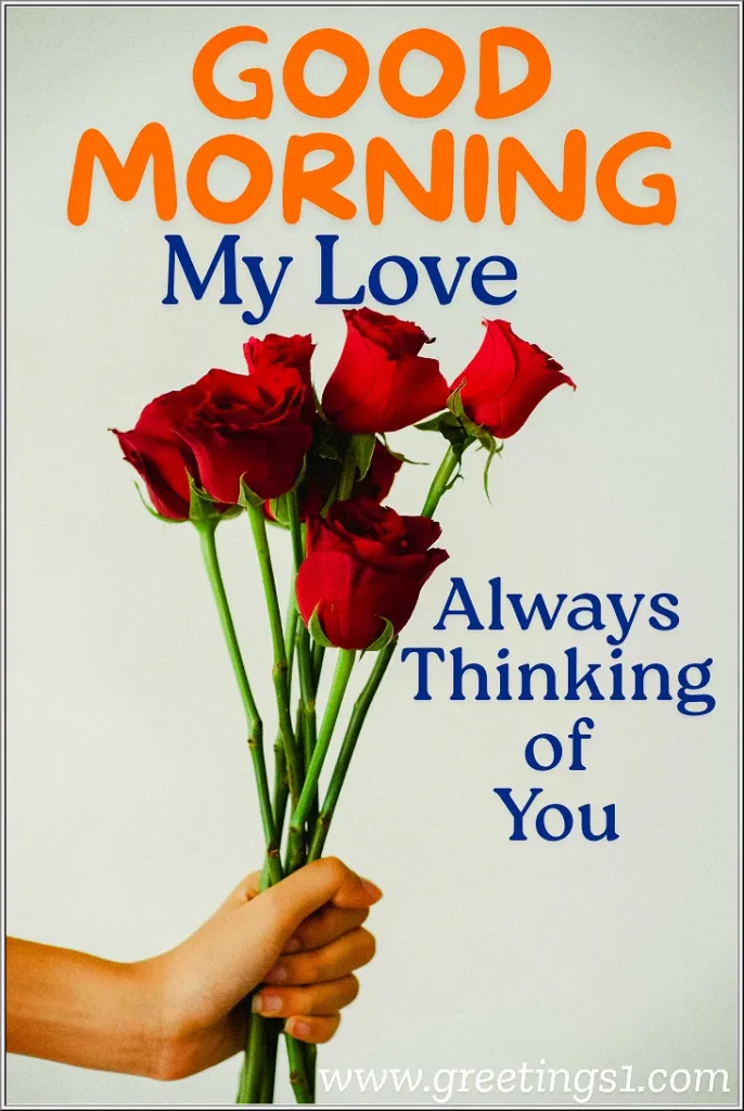 A good morning beautiful rose flowers for my love with romantic message always thinking of you