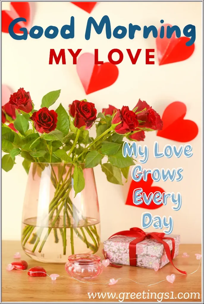 beautiful good morning rose flower for my wife to wish lovely morning