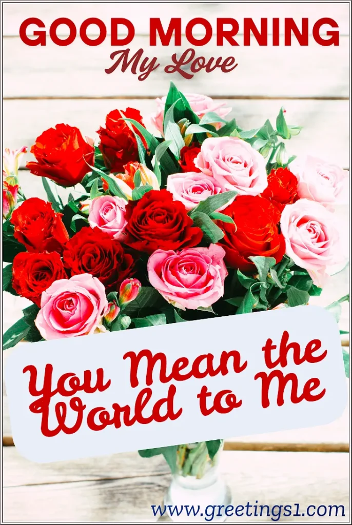 beautiful good morning flowers for my wife with love message