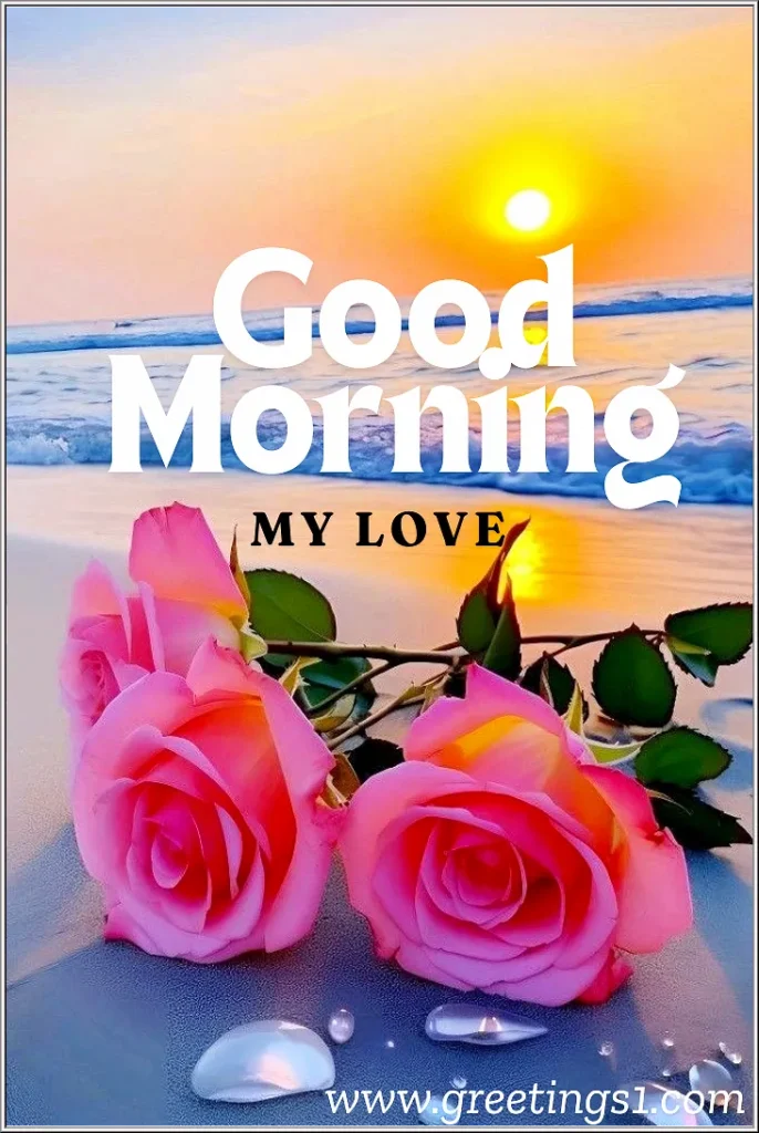 good morning rose for my love image for free download and share