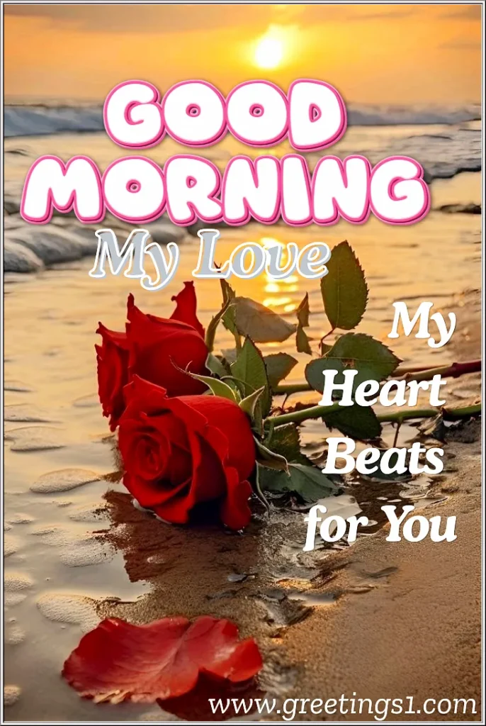 A beautiful good morning my love red rose images to wish girlfriend