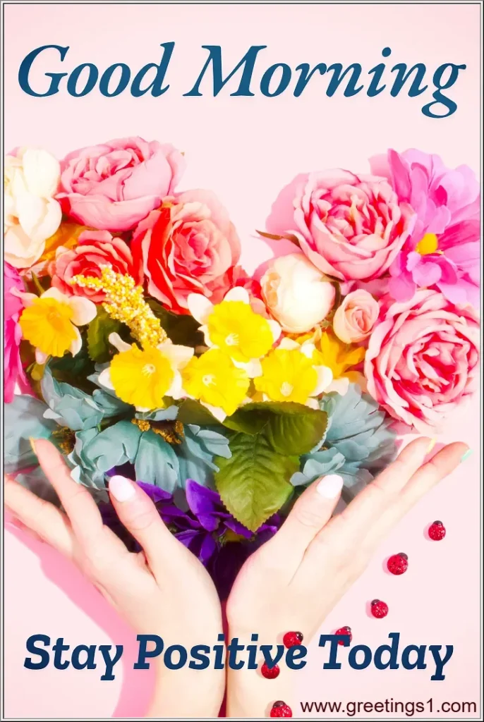 A HD Good Morning Flowers images with positive message