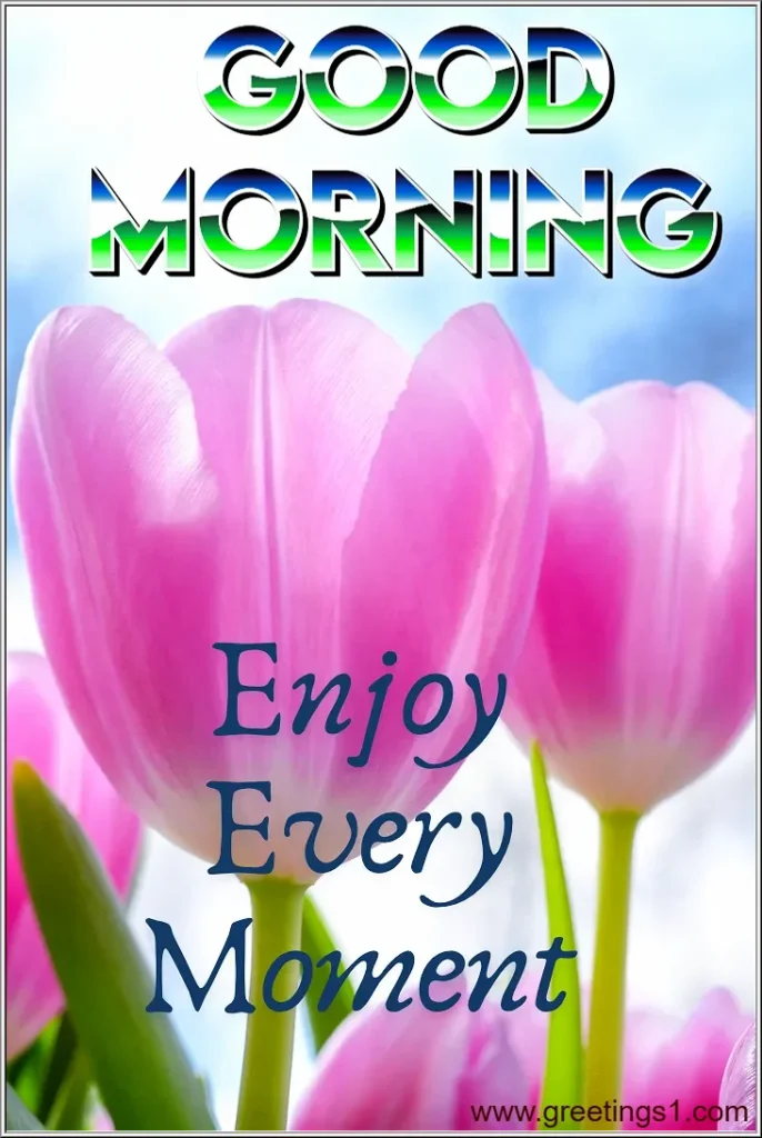 A beautiful flowers good morning images with quotes