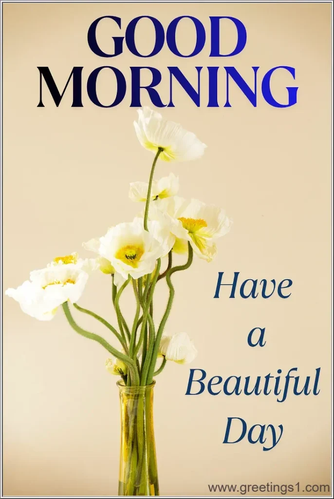A Good Morning flowers  have a beautiful day wishes images to say good morning.