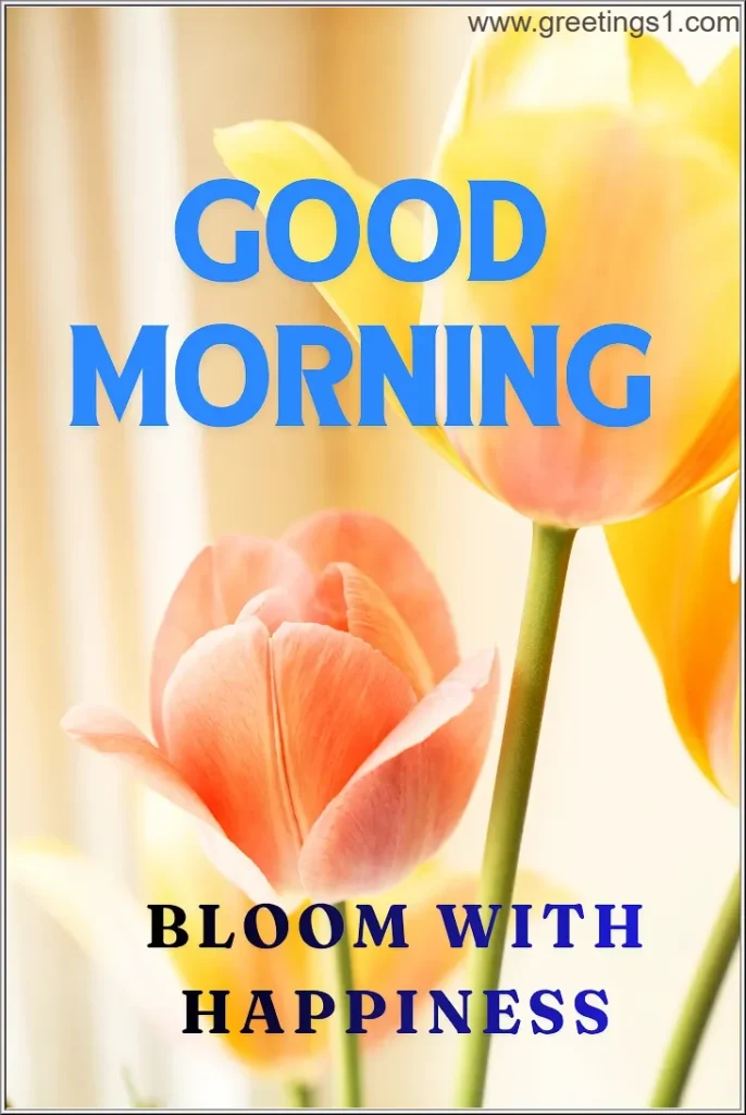 A cute blooming flowers good morning images with quotes for share happiness with good morning