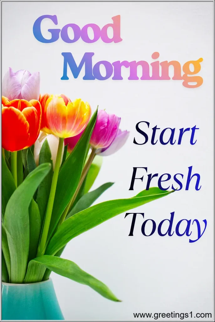 A fresh flowers good morning images for start fresh today.