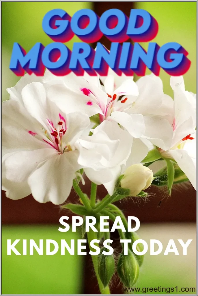 A gm images with beautiful white flowers and lnspiring quotes