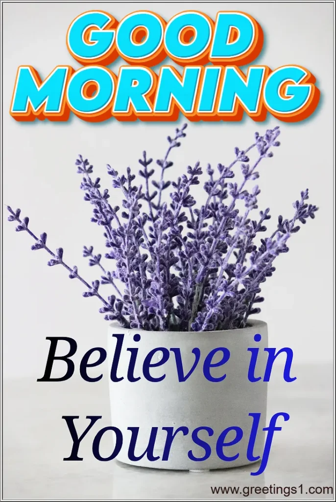 A Good Morning Beautiful flowers hd images with motivational line