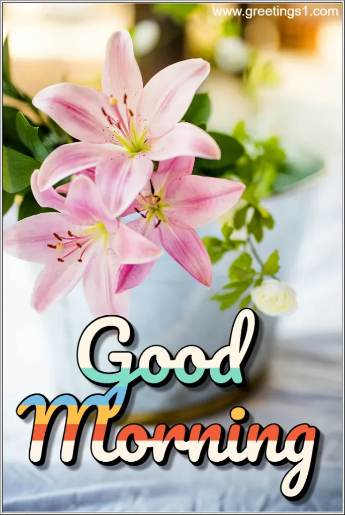A Good Morning Flowers Pot HD Images to wish good morning