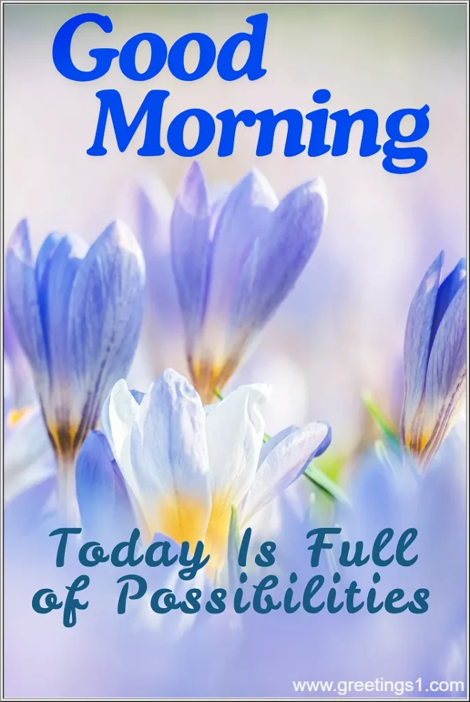 Good Morning Blue Flowers Images with quotes for whatsapp