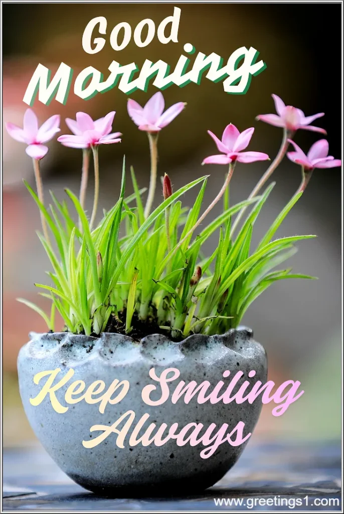A cute flower pot with good morning images and keep smiling always message