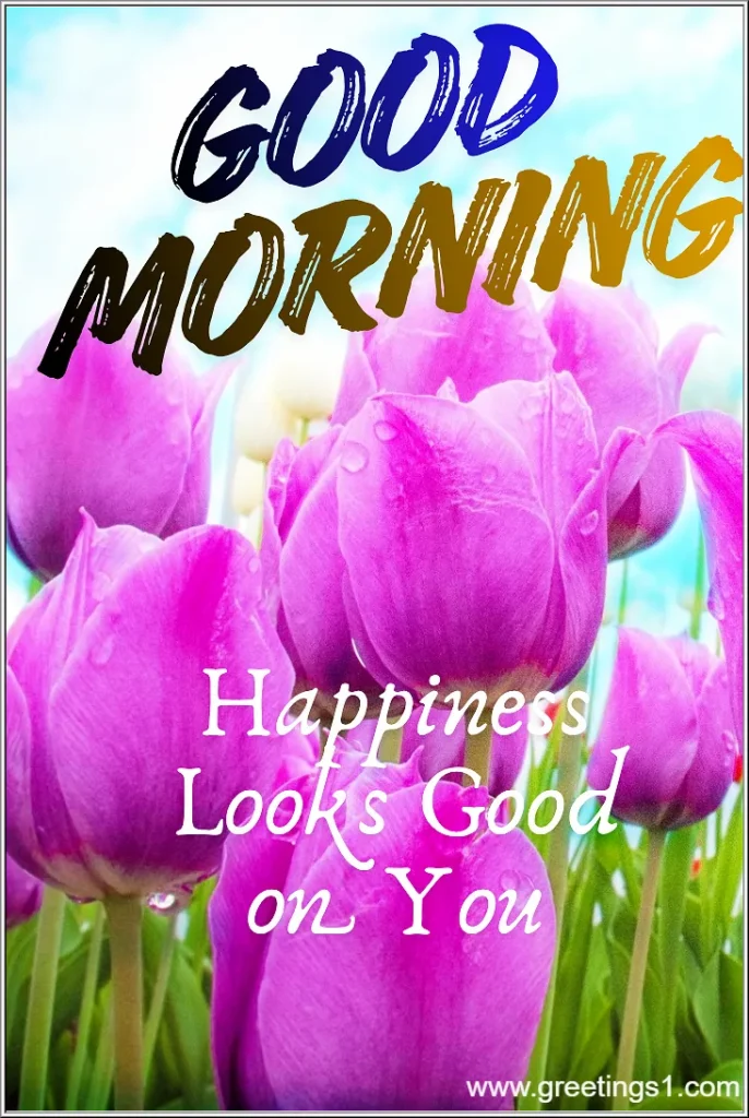 Good morning flowers images with best wishes for wish everyone