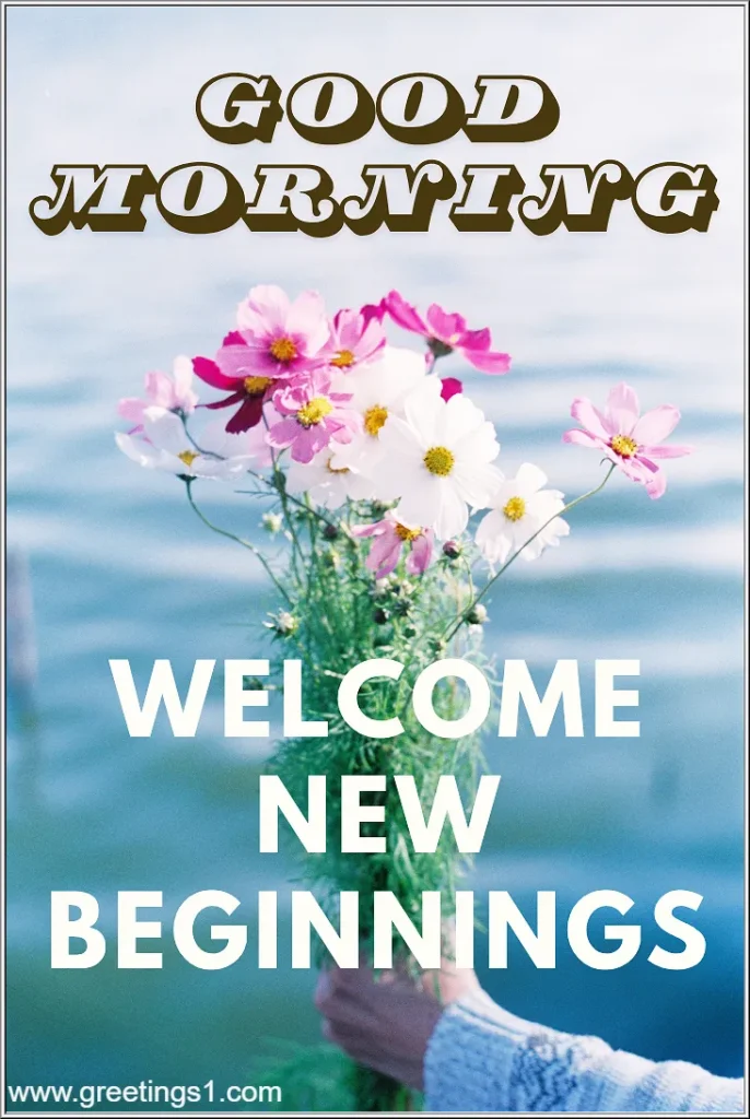 Good morning flowers free download image motivational to motivate all