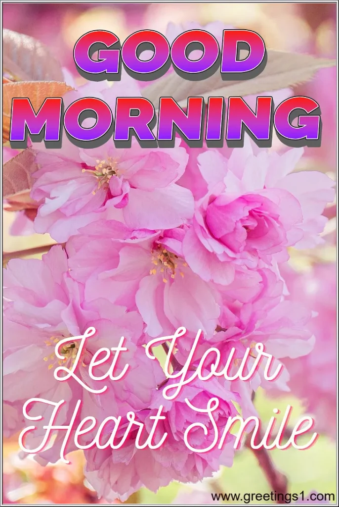 Good morning pink flowers images for share on facebook