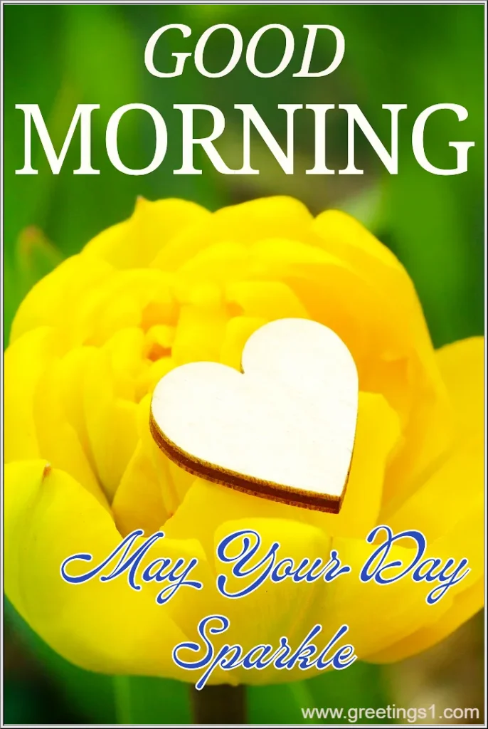 Good Morning yellow flowers images with best wishes