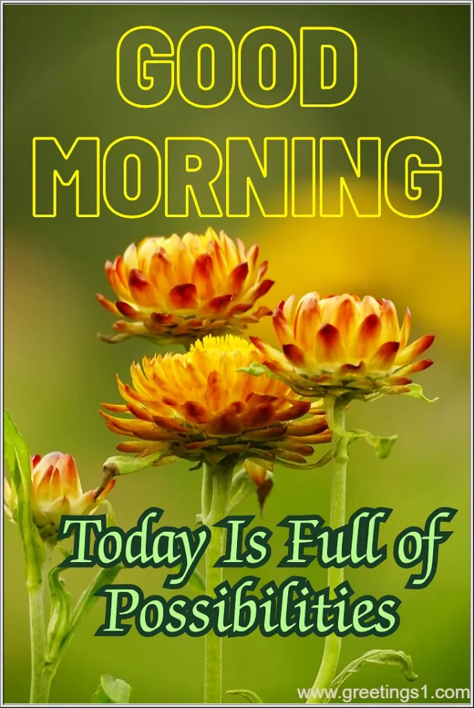 sweet flowers good morning images with full of possibilities message