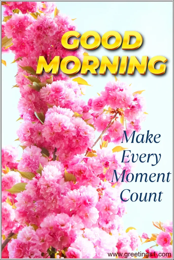 hd good morning flower images with quotes
