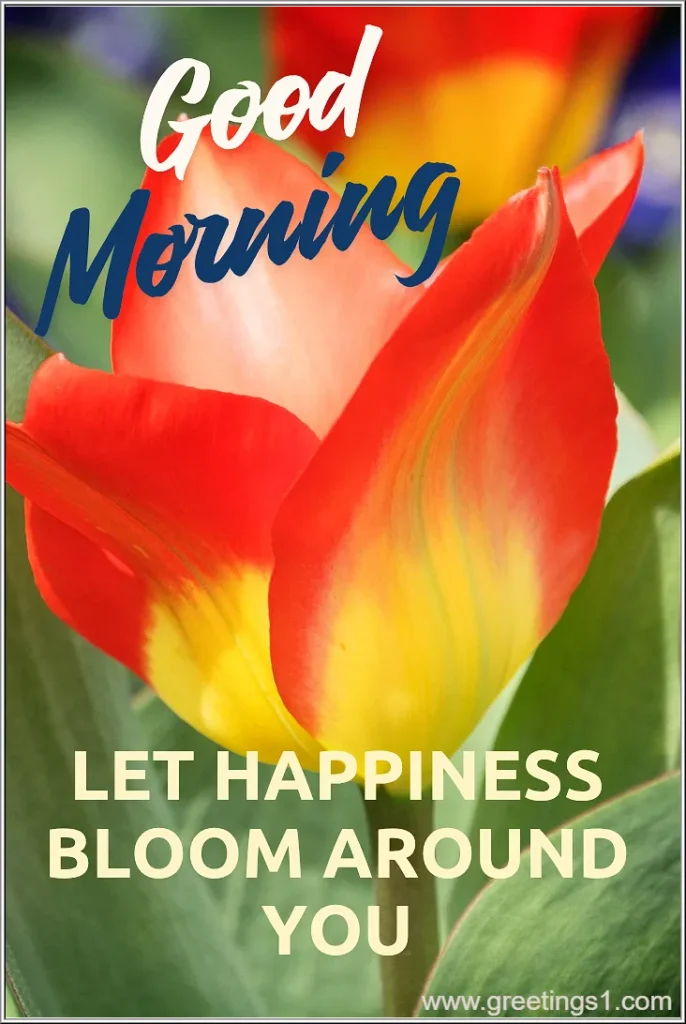 morning quotes with flowers images hd for wish good morning