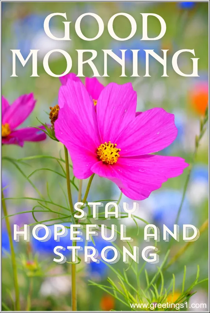 good morning wishes with beautiful flowers images