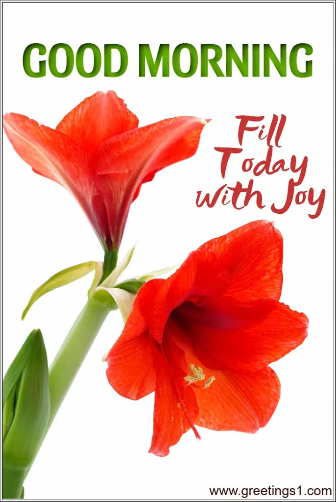 good morning images new flowers wishes