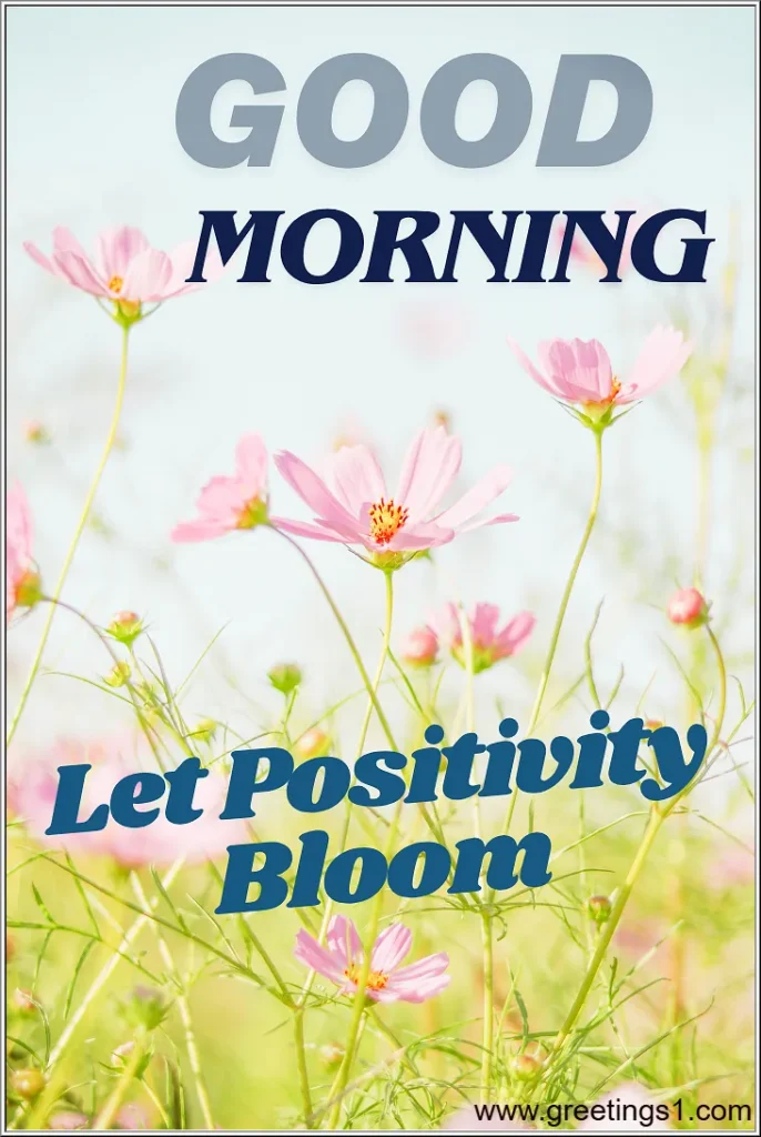 A beautiful flowers garden good morning images with positive quotes