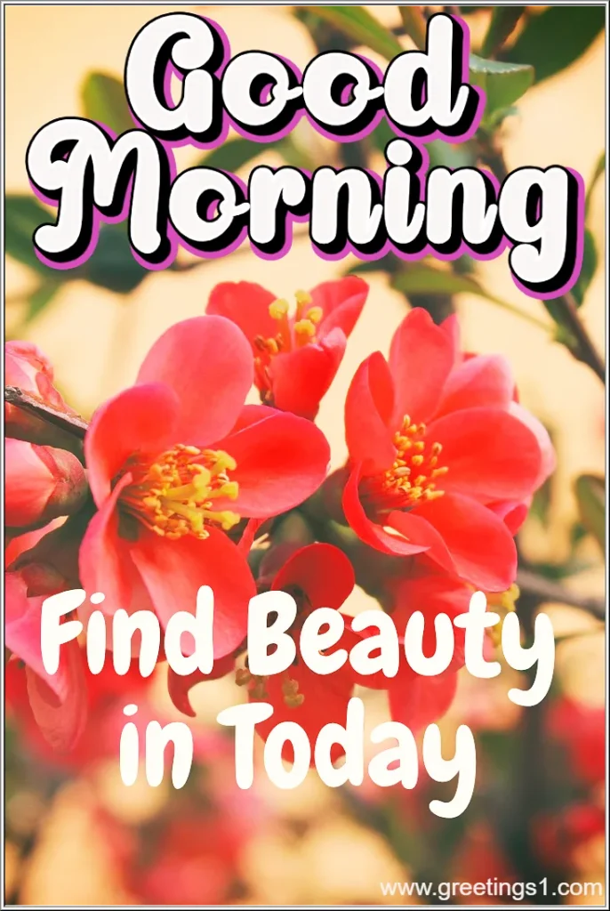 good morning romantic flower images for your love partner