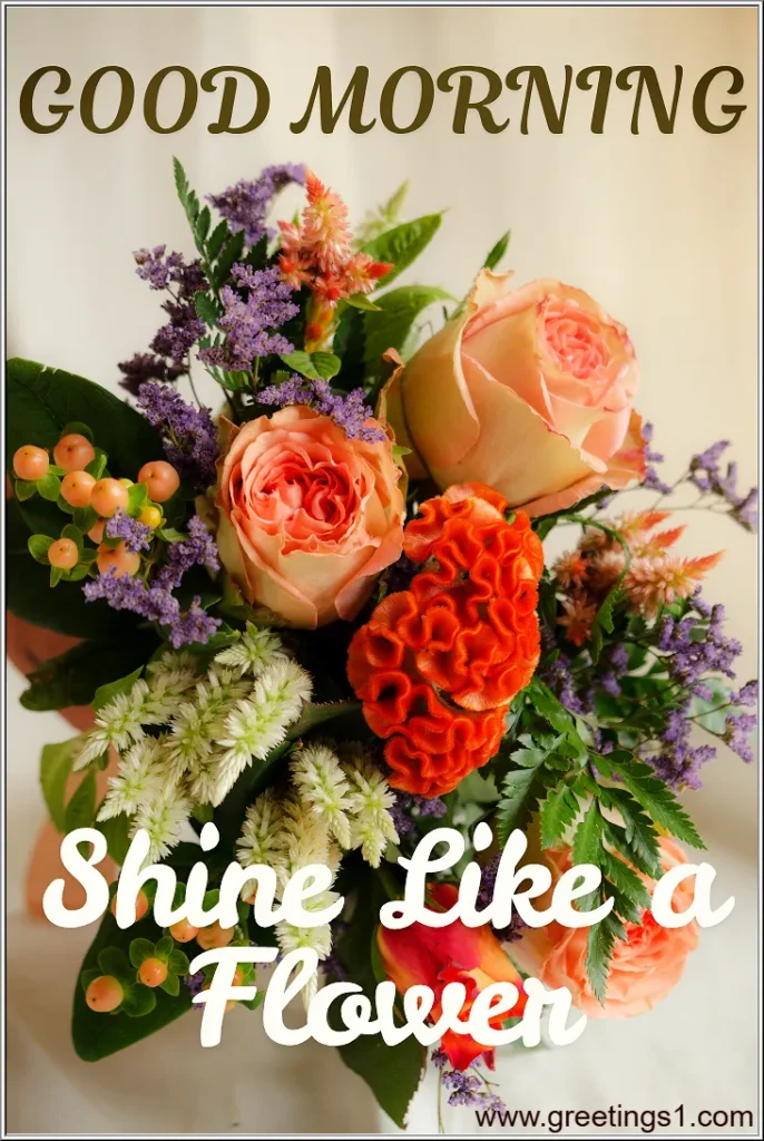 good morning romantic rose hd images for share on whatsapp