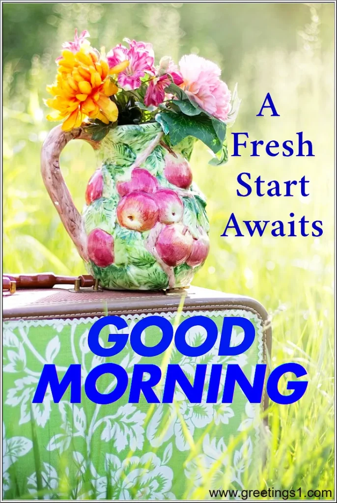 high quality new good morning flowers images with messages to wish all